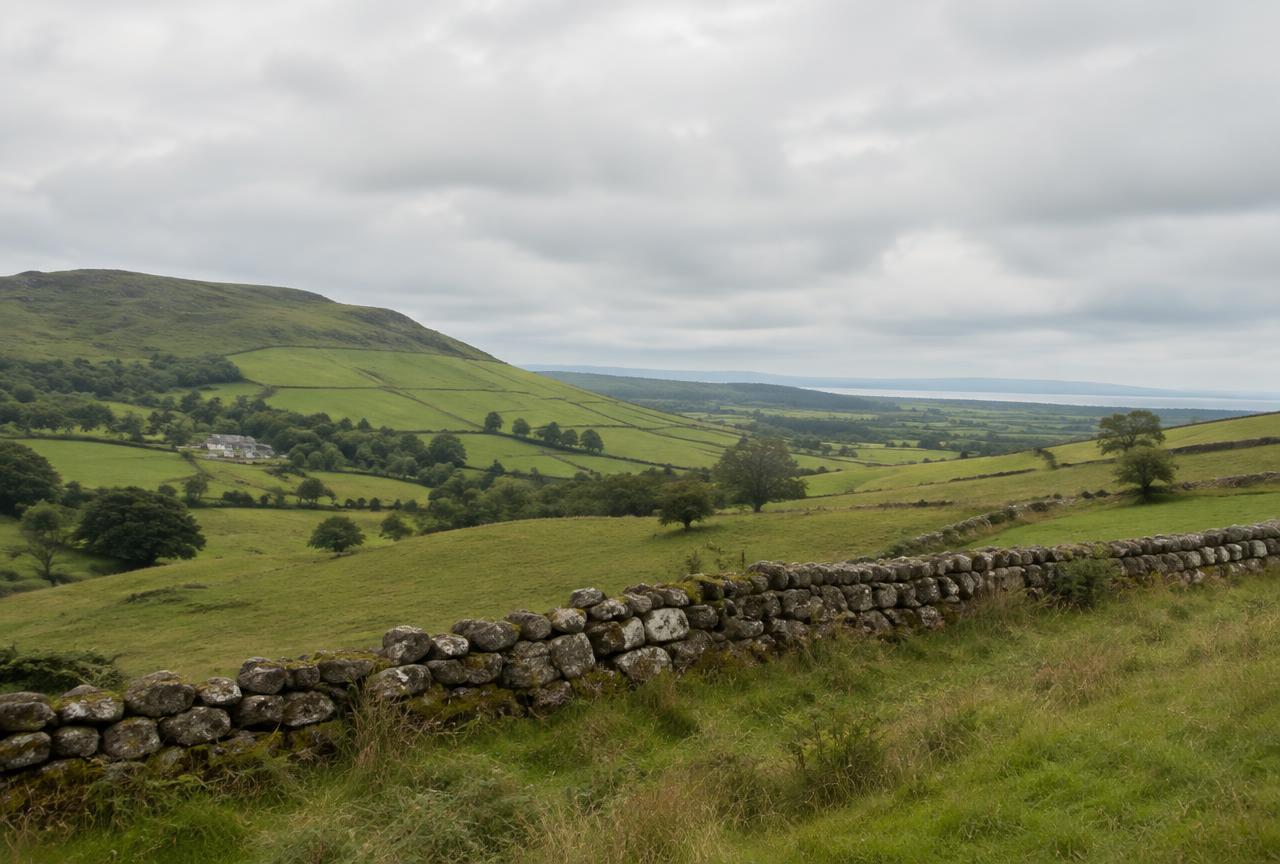 Rolling green hills and a stone wall in County Louth